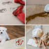 NanoTex impregnacja plamoodporna do dywanów - obrazek 2